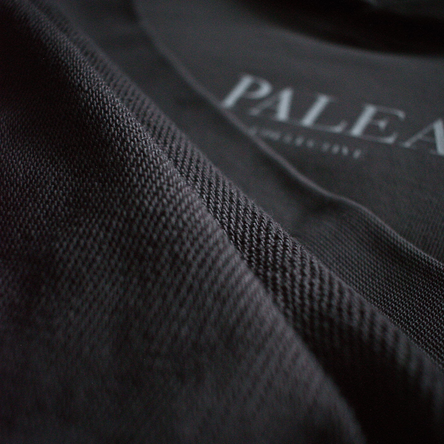 PALEA Lithic Heavyweight Hoodie | PALEA