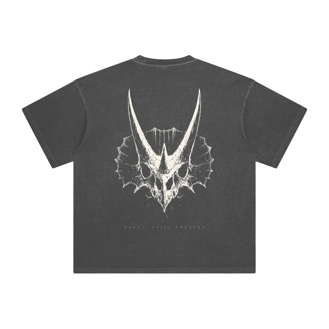 Crest of Horns – Washed Heavyweight Cotton T-Shirt | PALEA