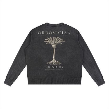Ordovician – Crinoid Study Mineral Washed Cotton Knit Sweatshirt | PALEA