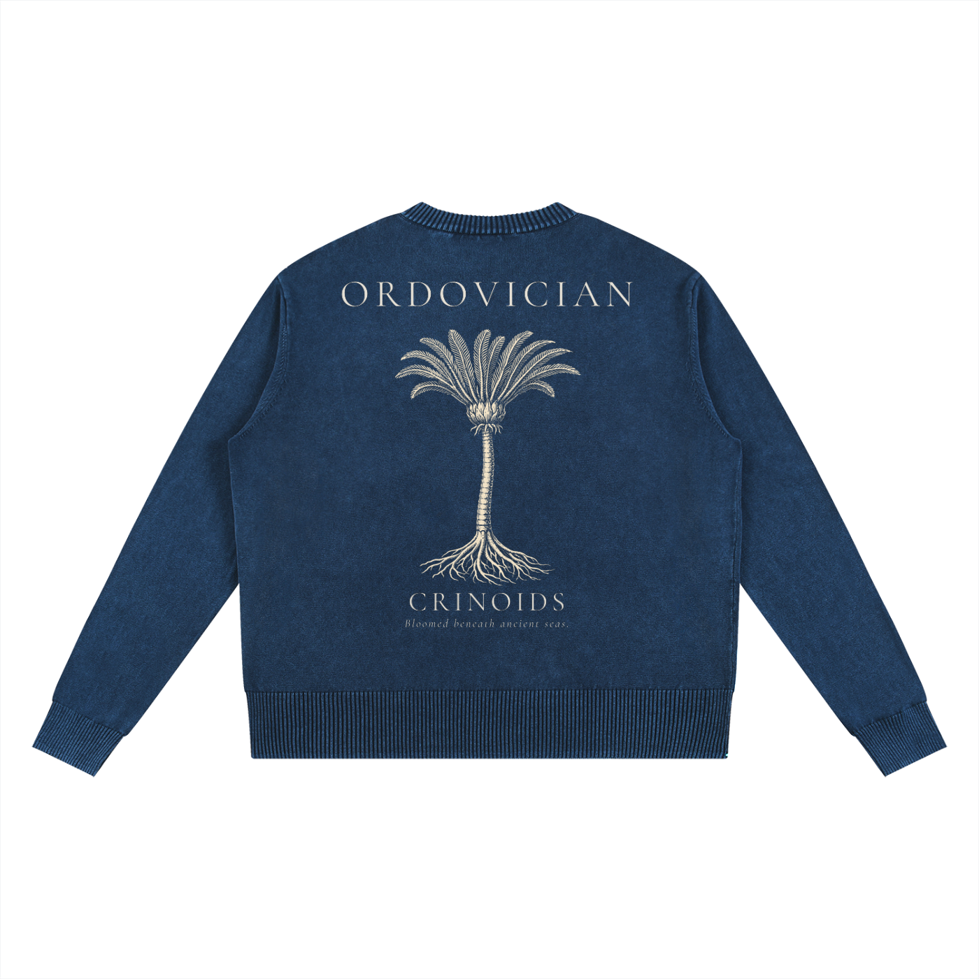 Ordovician – Crinoid Study Mineral Washed Cotton Knit Sweatshirt | PALEA