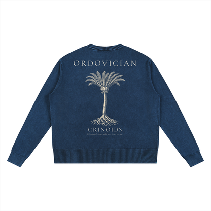 Ordovician – Crinoid Study Mineral Washed Cotton Knit Sweatshirt | PALEA