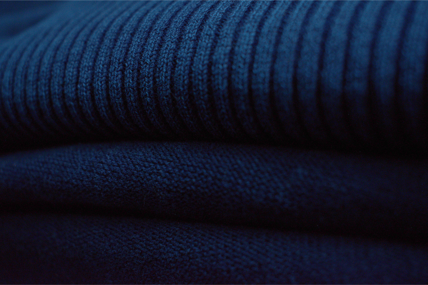 Ordovician – Crinoid Study Mineral Washed Cotton Knit Sweatshirt | PALEA