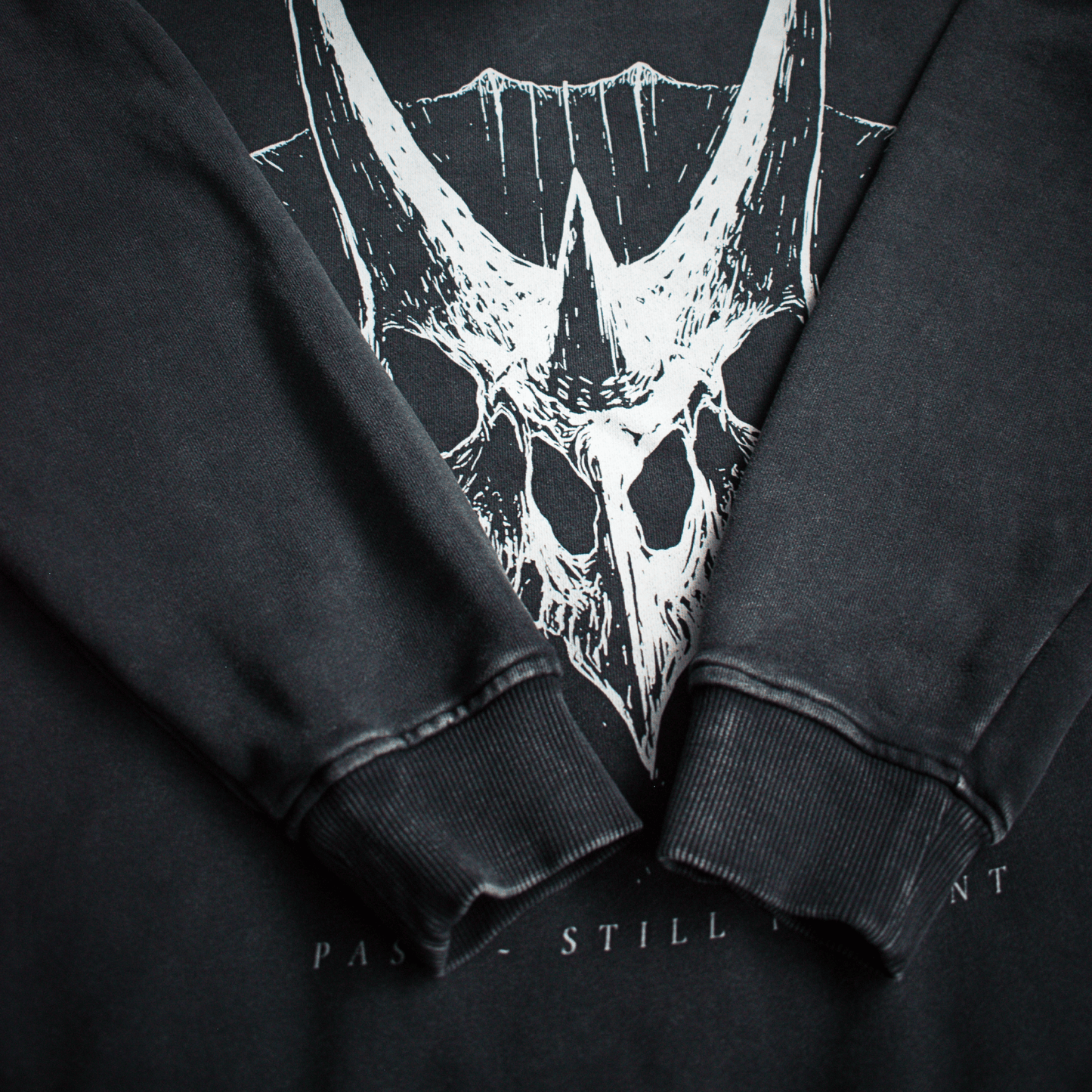 Crest of Horns – Oversized Washed Heavyweight Cotton Hoodie | PALEA