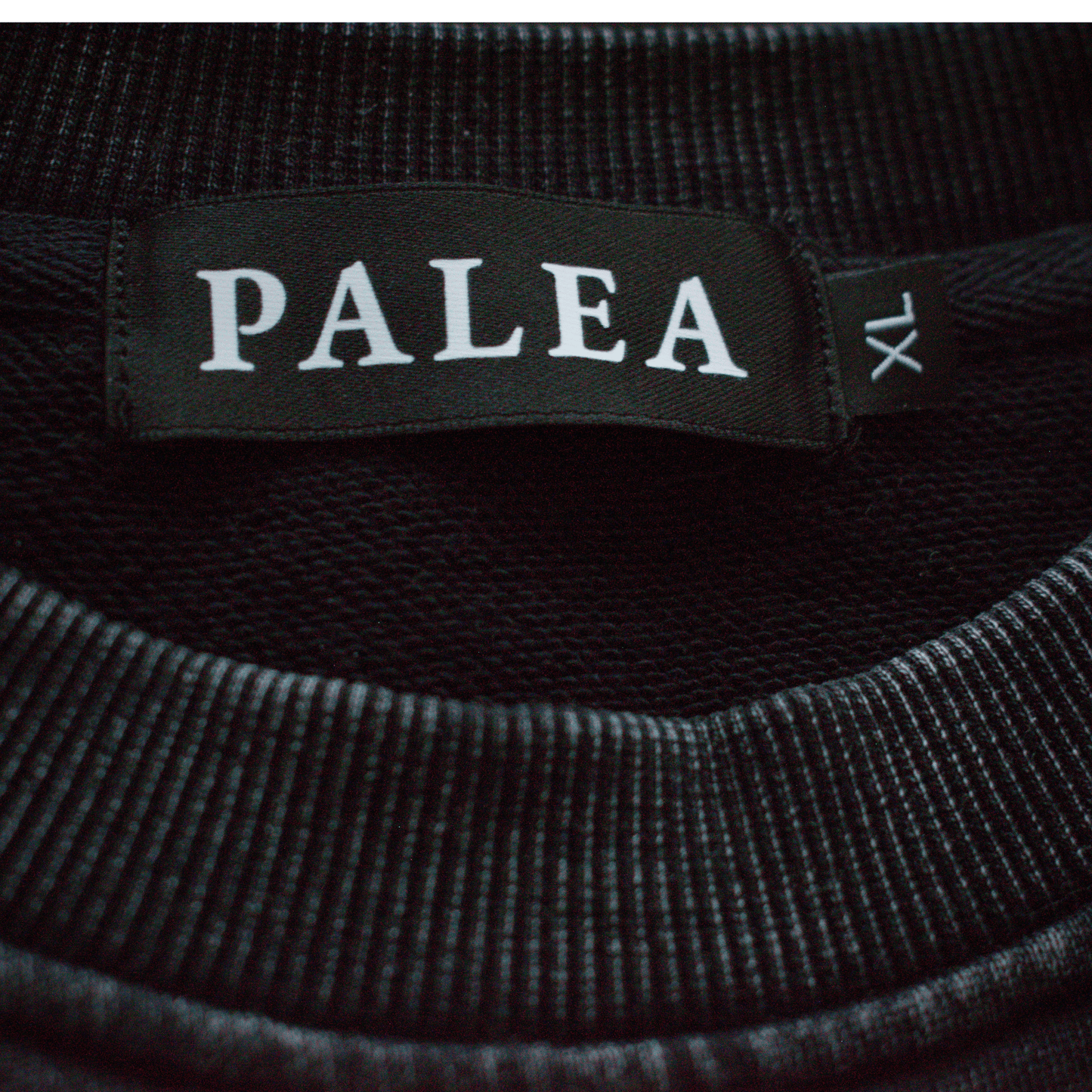 Crest of Horns – Oversized Heavyweight Cotton Sweatshirt | PALEA