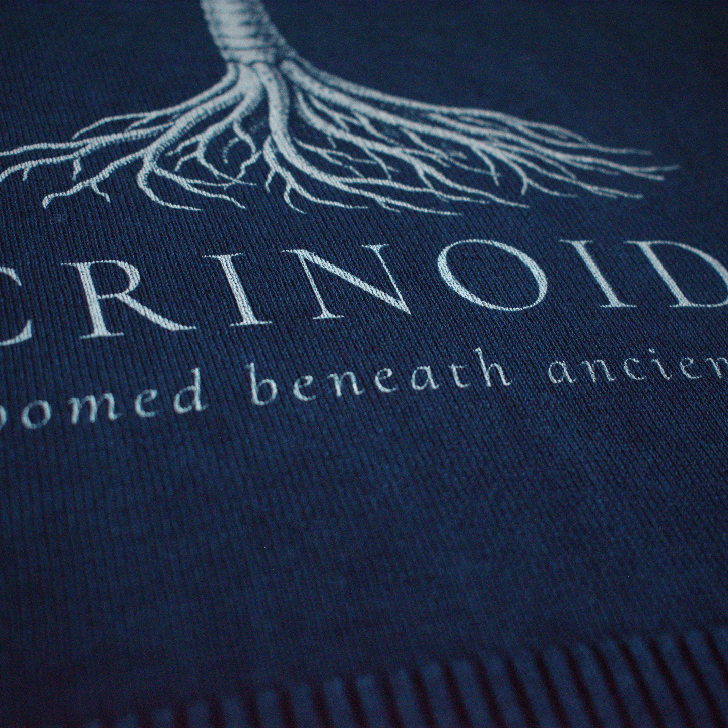 Ordovician – Crinoid Study Mineral Washed Cotton Knit Sweatshirt | PALEA