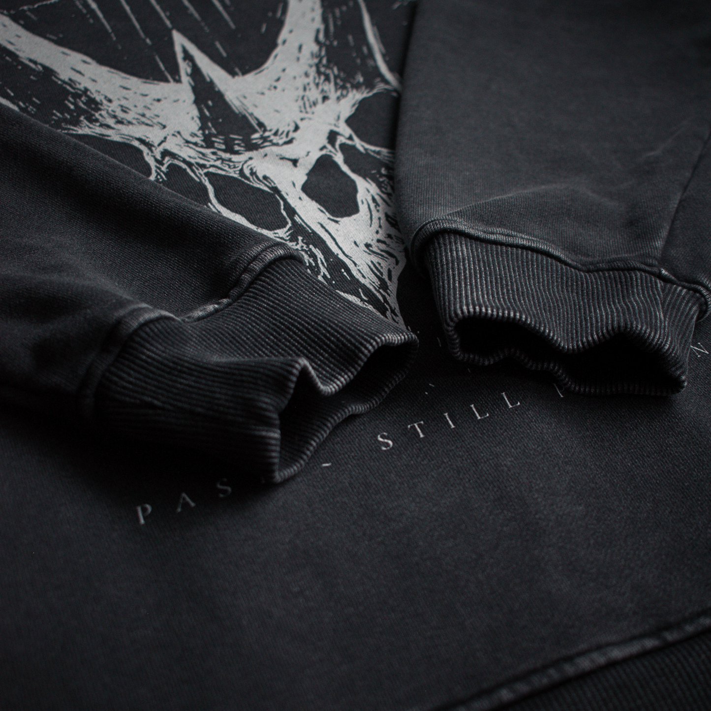 Crest of Horns – Oversized Washed Heavyweight Cotton Hoodie | PALEA