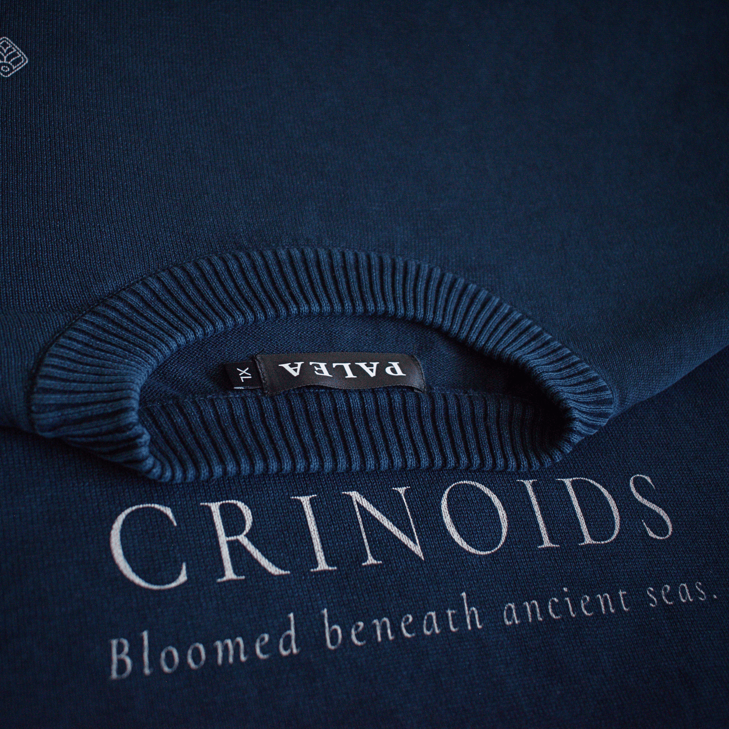 Ordovician – Crinoid Study Mineral Washed Cotton Knit Sweatshirt | PALEA