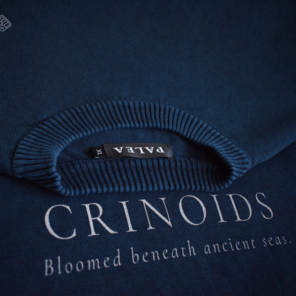 Ordovician – Crinoid Study Mineral Washed Cotton Knit Sweatshirt | PALEA