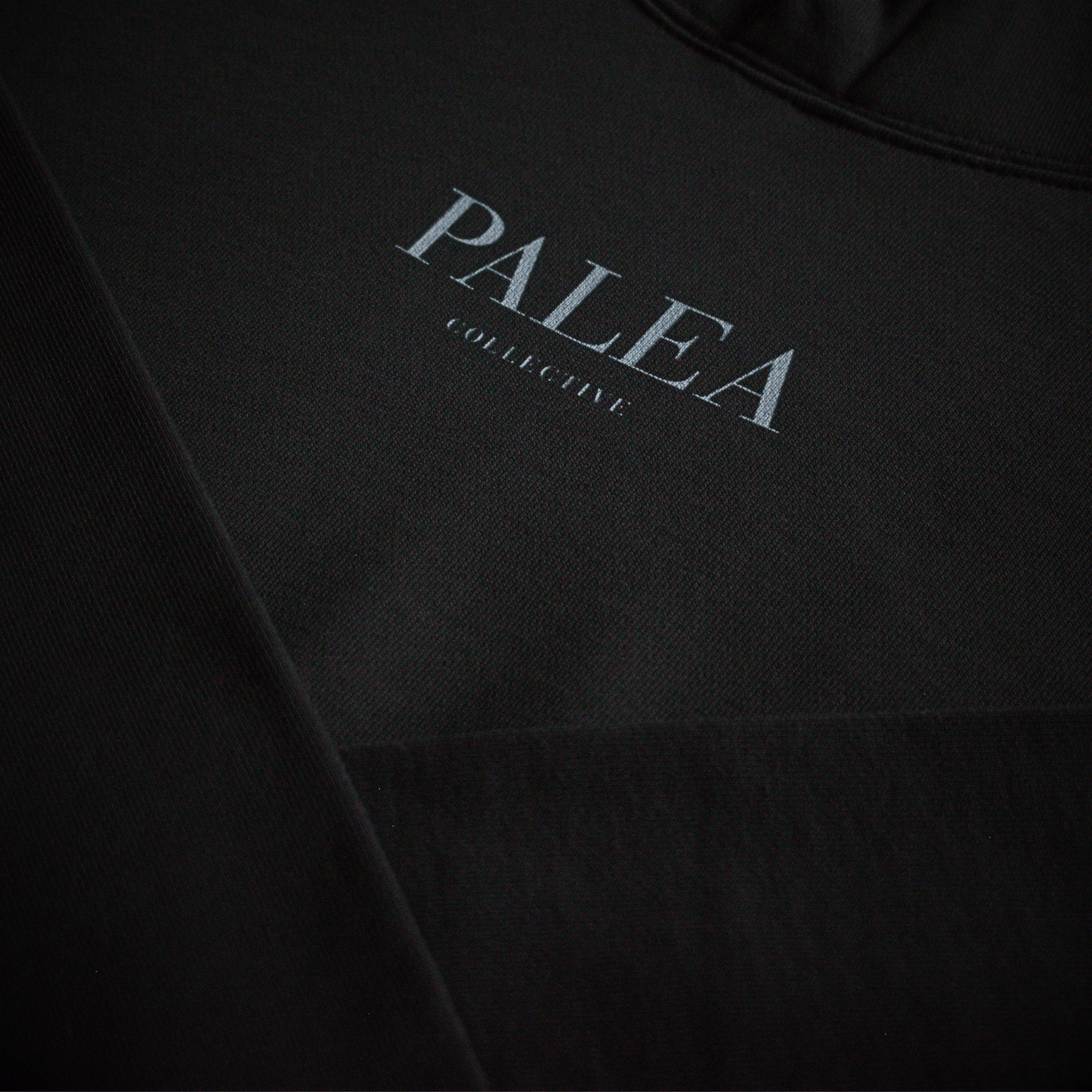 PALEA Lithic Heavyweight Hoodie | PALEA