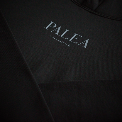 PALEA Lithic Heavyweight Hoodie | PALEA