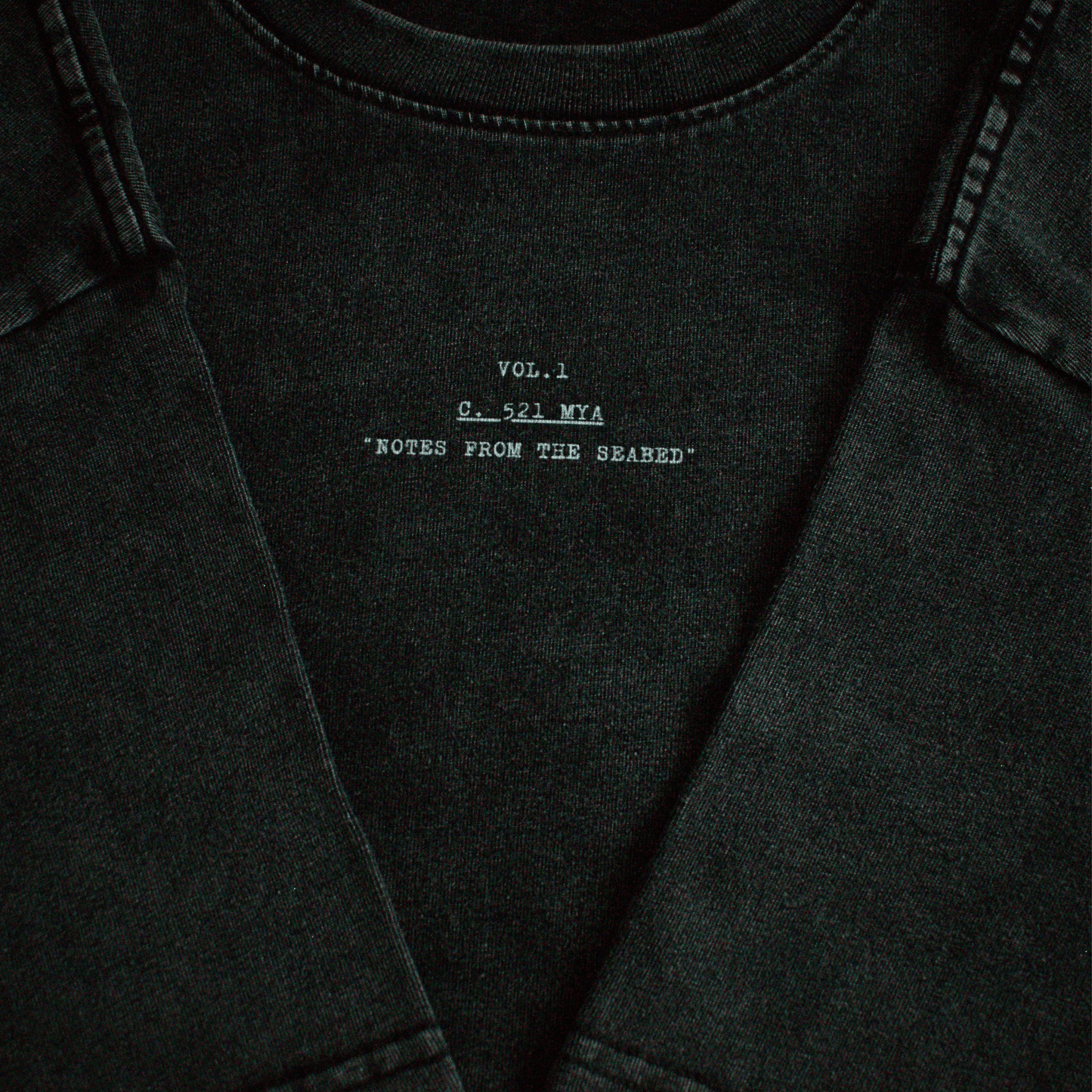 Exoskeleton – Washed Oversized Tee