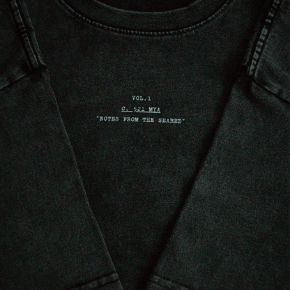 Exoskeleton – Washed Oversized Tee