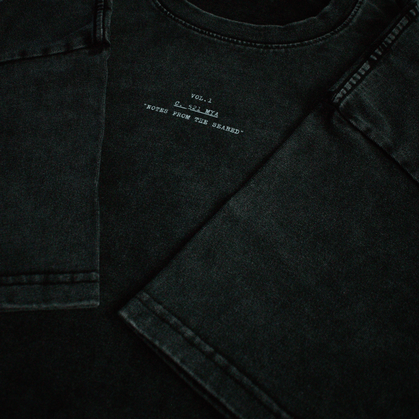 Exoskeleton – Washed Oversized Tee