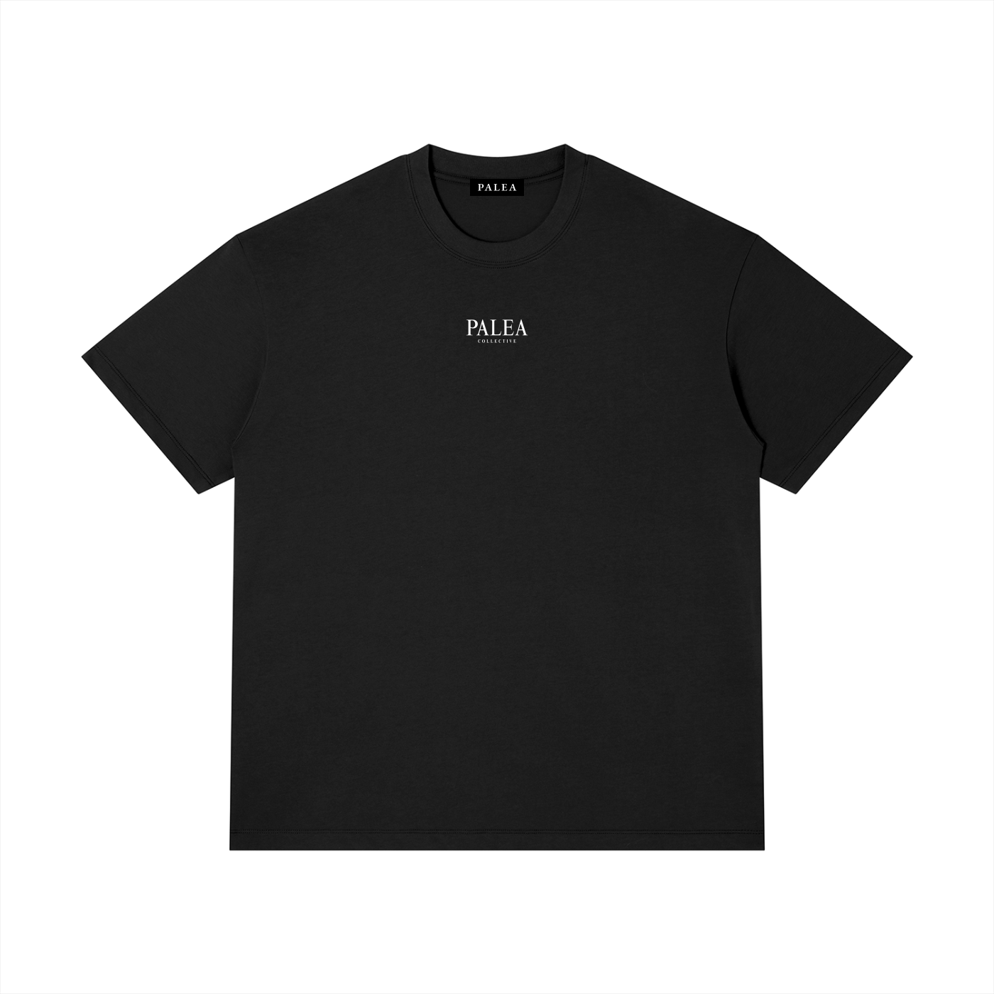 PALEA Lithic – Obsidian Tones
