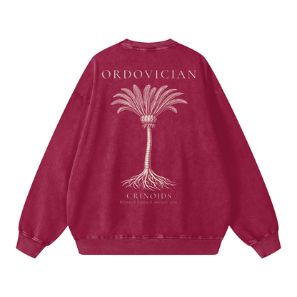 Ordovician – Crinoid Study Oversized Heavyweight Cotton Sweatshirt | PALEA