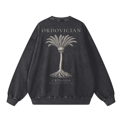 Ordovician – Crinoid Study Oversized Heavyweight Cotton Sweatshirt | PALEA