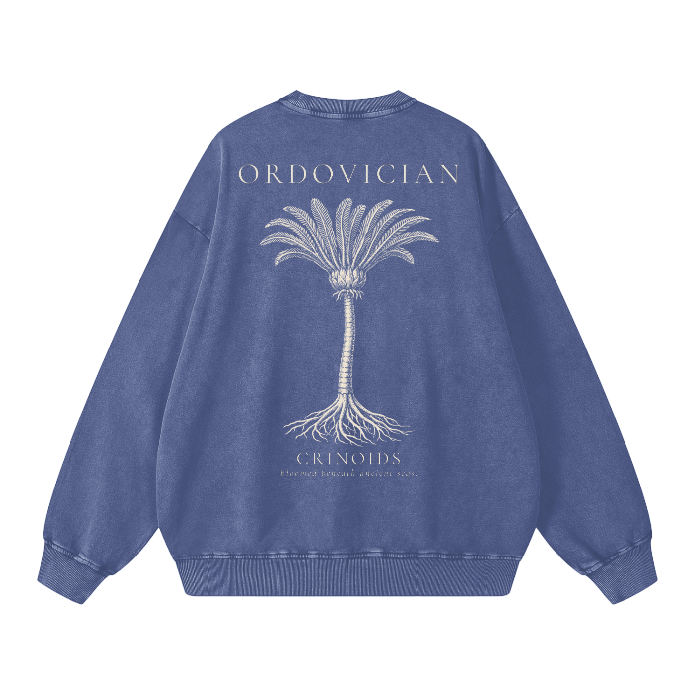 Ordovician – Crinoid Study Oversized Heavyweight Cotton Sweatshirt | PALEA