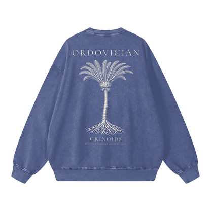 Ordovician – Crinoid Study Oversized Heavyweight Cotton Sweatshirt | PALEA